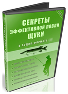 Аудио-курс Секреты эффективной ловли щуки - Денис Сидоренко