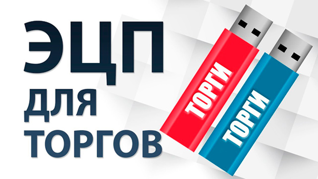 Срок действия электронной подписи для торгов по банкротству Срок действия электронной подписи для торгов по банкротству