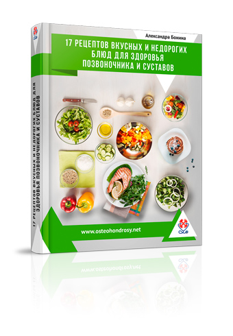 17 рецептов вкусных и недорогих блюд для здоровья позвоночника и суставов - Скачать книгу Александры Бониной
